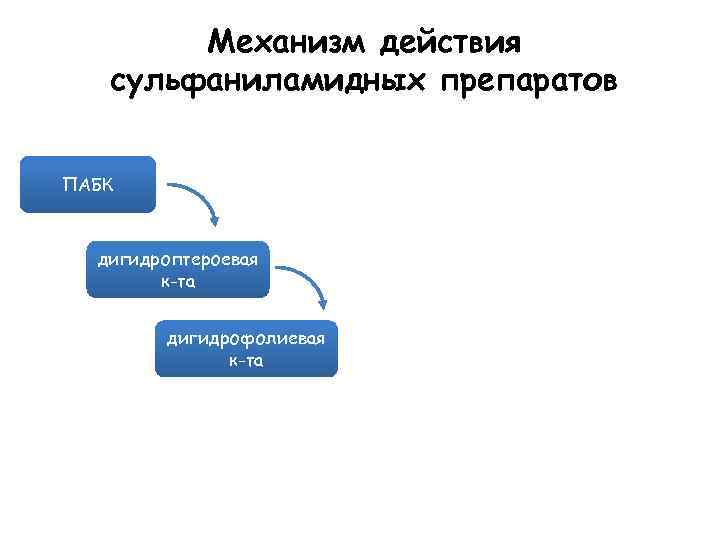 Механизм действия сульфаниламидных препаратов ПАБК дигидроптероевая к-та дигидрофолиевая к-та 