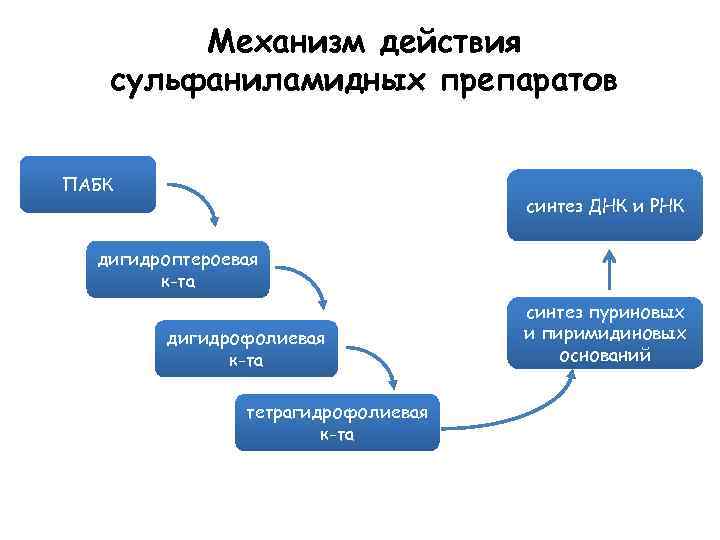 Механизм действия сульфаниламидных препаратов ПАБК синтез ДНК и РНК дигидроптероевая к-та дигидрофолиевая к-та тетрагидрофолиевая