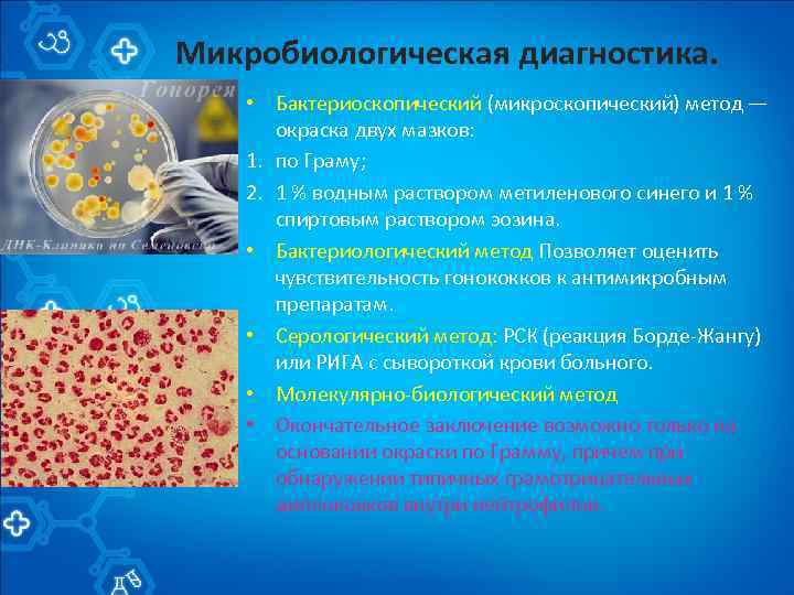 Микробиологическая диагностика. • Бактериоскопический (микроскопический) метод — окраска двух мазков: 1. по Граму; 2.