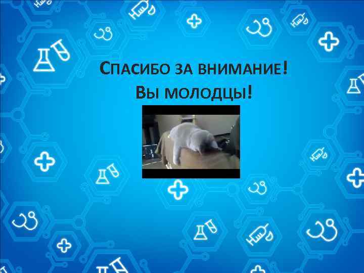 СПАСИБО ЗА ВНИМАНИЕ! ВЫ МОЛОДЦЫ! 