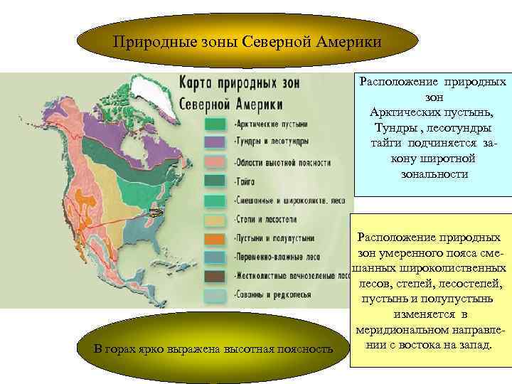 Природные зоны Северной Америки Расположение природных зон Арктических пустынь, Тундры , лесотундры тайги подчиняется