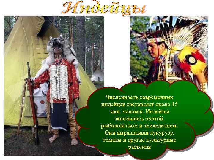 Численность современных индейцев составляет около 15 млн. человек. Индейцы занимались охотой, рыболовством и земледелием.