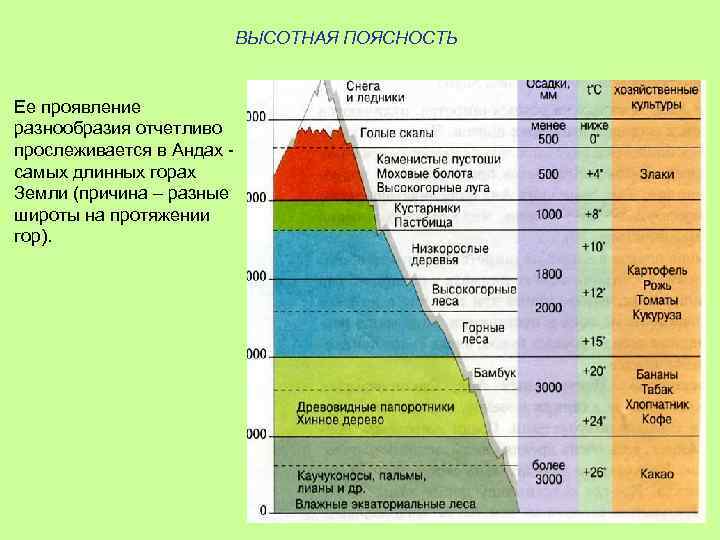 По рисунку 114 расскажите об особенностях высотной поясности в андах