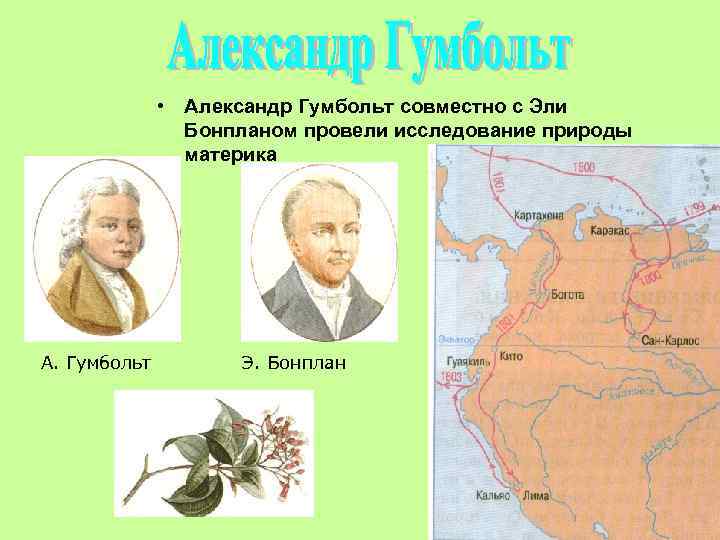  • Александр Гумбольт совместно с Эли Бонпланом провели исследование природы материка А. Гумбольт