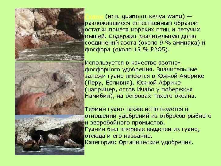 Гуано (исп. guano от кечуа wanu) — разложившиеся естественным образом остатки помета морских птиц