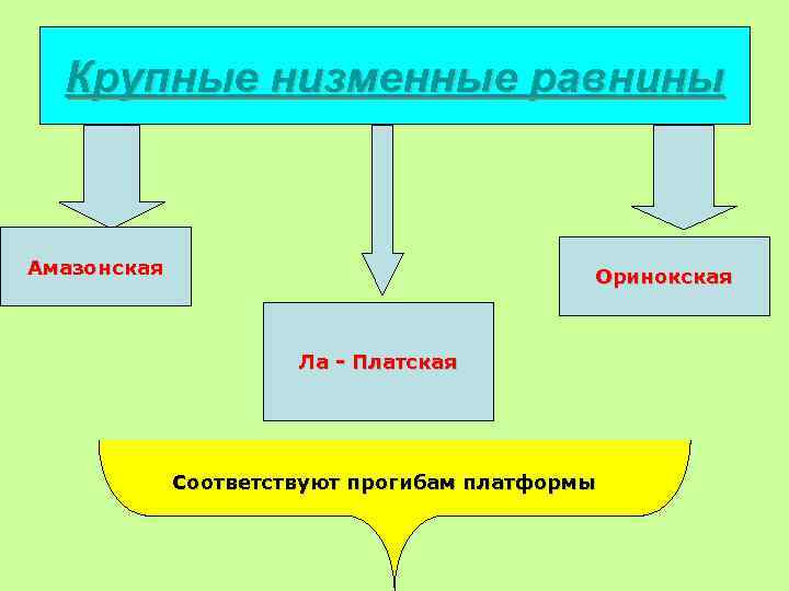 Крупные низменные равнины Амазонская Оринокская Ла - Платская Соответствуют прогибам платформы 