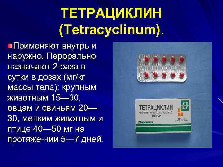 ТЕТРАЦИКЛИН (Tetracyclinum). Применяют внутрь и наружно. Перорально назначают 2 раза в сутки в дозах