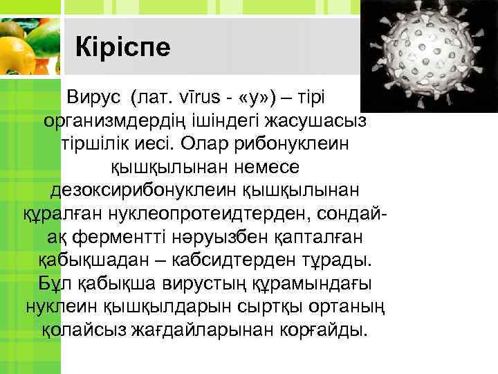 Кіріспе Вирус (лат. vīrus - «у» ) – тірі организмдердің ішіндегі жасушасыз тіршілік иесі.