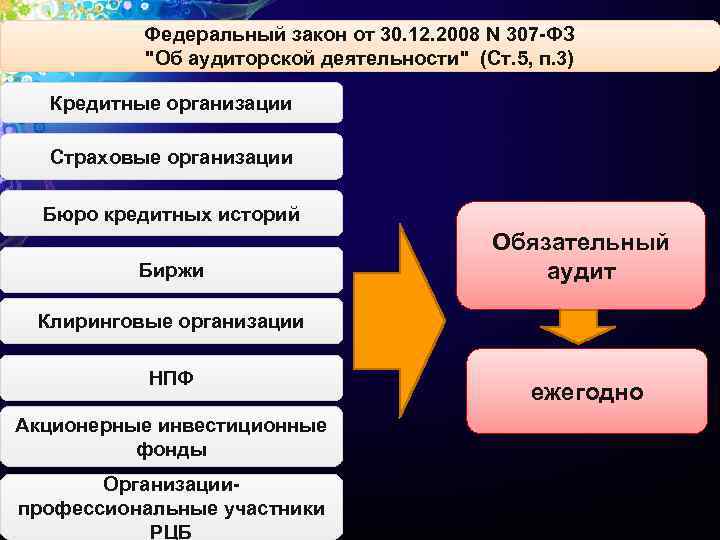 Государственный аудит инвестиционных проектов