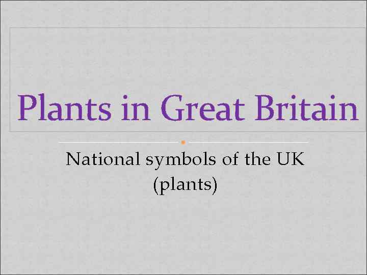 Plants in Great Britain National symbols of the UK (plants) 
