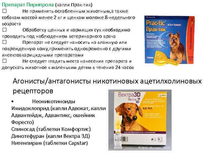 Препарат Пирипрола (капли Прак-тик) Не применять ослабленным животным, а также собакам массой менее 2