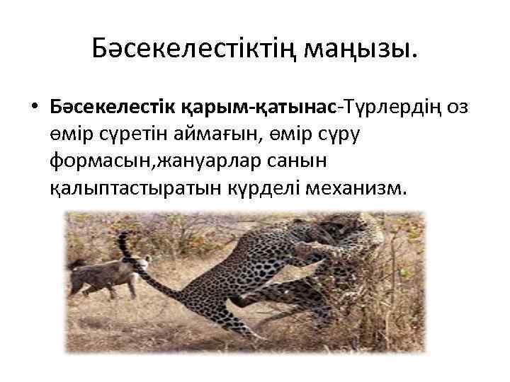 Бәсекелестіктің маңызы. • Бәсекелестік қарым-қатынас-Түрлердің оз өмір сүретін аймағын, өмір сүру формасын, жануарлар санын