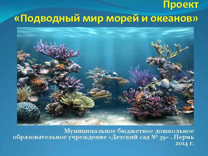 Проект «Подводный мир морей и океанов» Муниципальное бюджетное дошкольное образовательное учреждение «Детский сад №