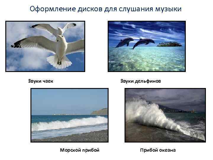 Оформление дисков для слушания музыки Звуки чаек Звуки дельфинов Морской прибой Прибой океана 