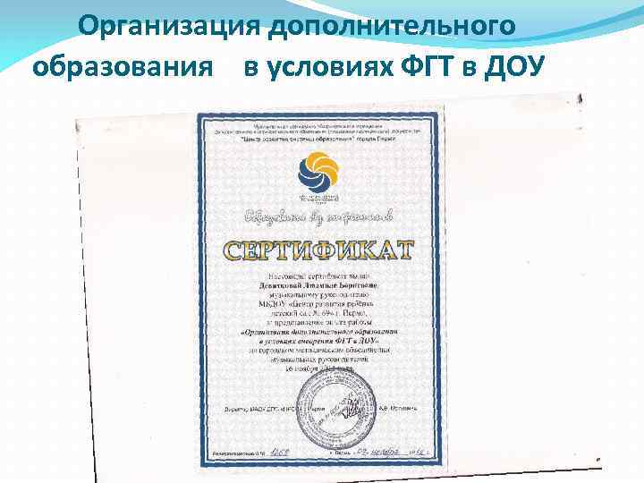  Организация дополнительного образования в условиях ФГТ в ДОУ 