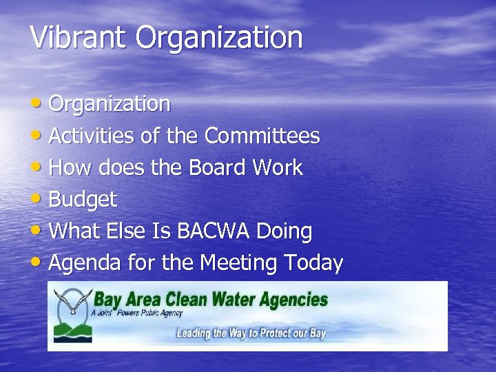 Vibrant Organization • Activities of the Committees • How does the Board Work •