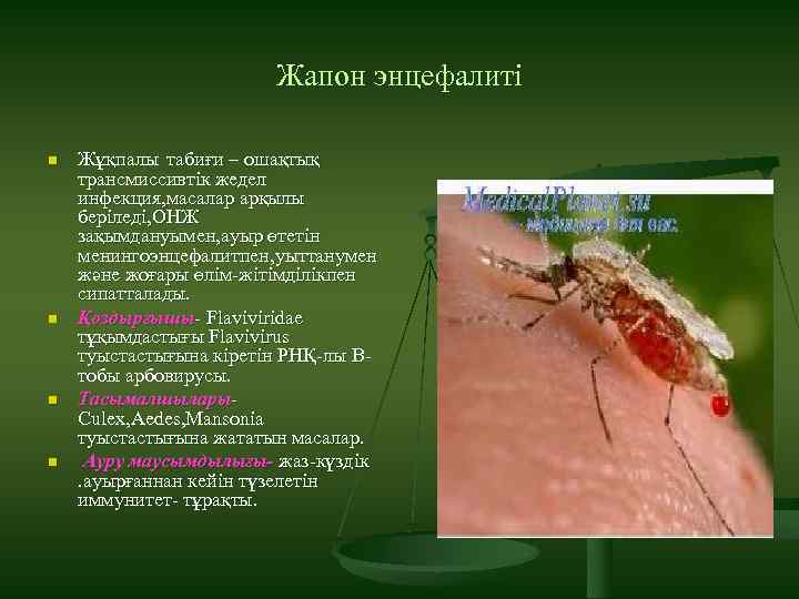 Жапон энцефалиті n n Жұқпалы табиғи – ошақтық трансмиссивтік жедел инфекция, масалар арқылы беріледі,