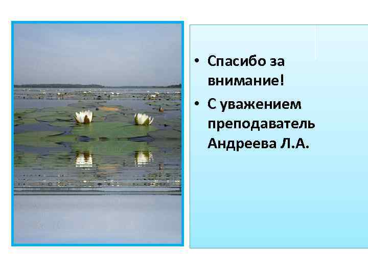  • Спасибо за внимание! • С уважением преподаватель Андреева Л. А. 