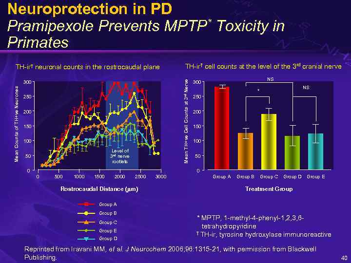 Neuroprotection in PD Pramipexole Prevents MPTP* Toxicity in Primates Mean Counts of TH+ve Neurones