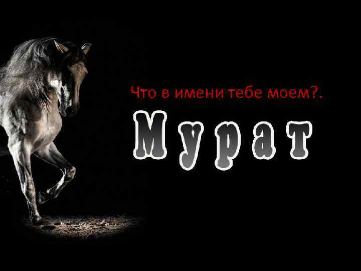 ПППррр Что в имени тебе моем? . . . 