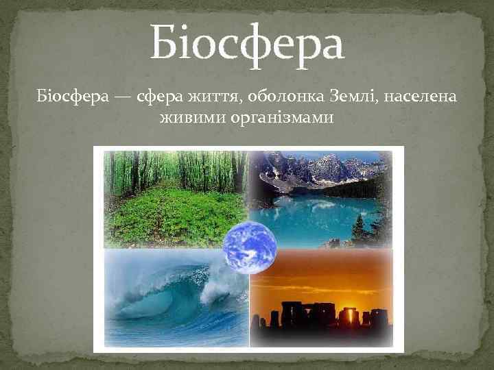 Біосфера — сфера життя, оболонка Землі, населена живими організмами 