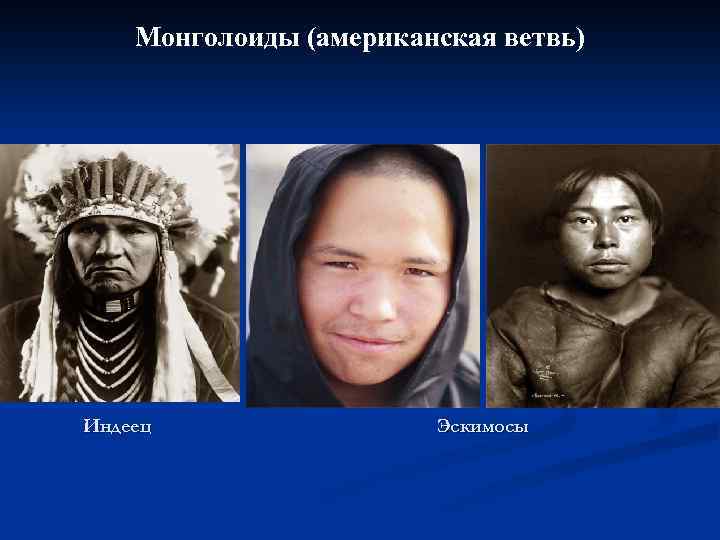 Расовый состав населения китая. Монголоидная раса американская ветвь. Немцы монголоиды. Тюрки монголоиды. Западные монголоиды.