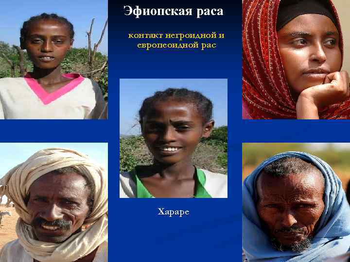 Негроидная раса какая страна. Народы негроидной расы в Африке. Эфиопская и негроидная раса. Эфиопы раса внешность.