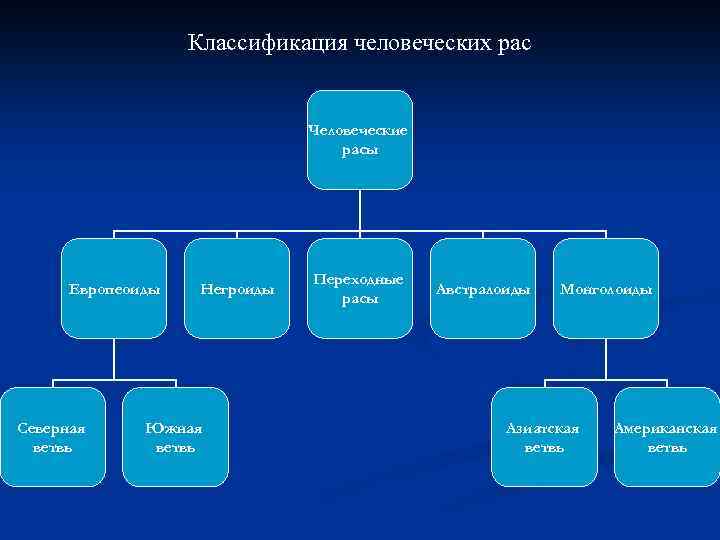 Схема расовой классификации