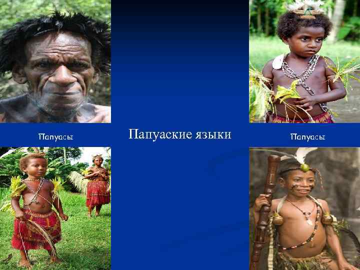 Папуасы Папуаские языки Папуасы 