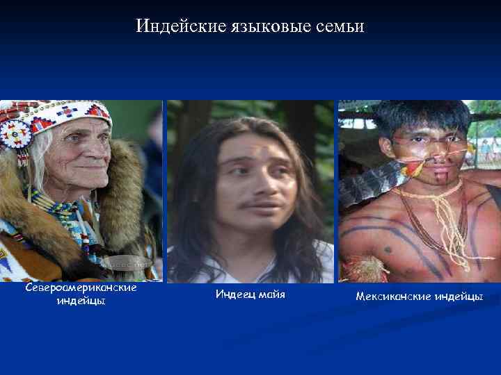 Индейские языковые семьи Североамериканские индейцы Индеец майя Мексиканские индейцы 