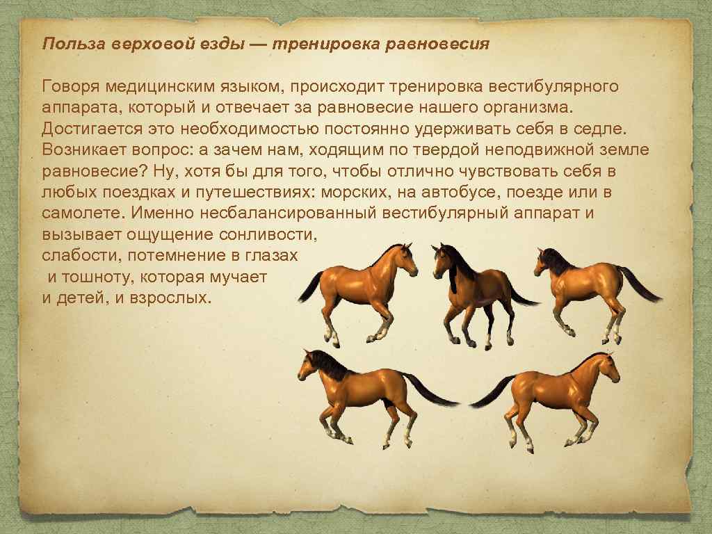 Польза верховой езды — тренировка равновесия Говоря медицинским языком, происходит тренировка вестибулярного аппарата, который