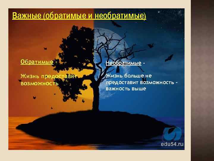 Важные (обратимые и необратимые) Обратимые – Необратимые – Жизнь предоставит возможность Жизнь больше не