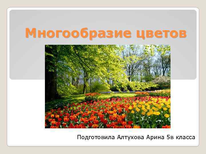 Многообразие цветов Подготовила Алтухова Арина 5 в класса 