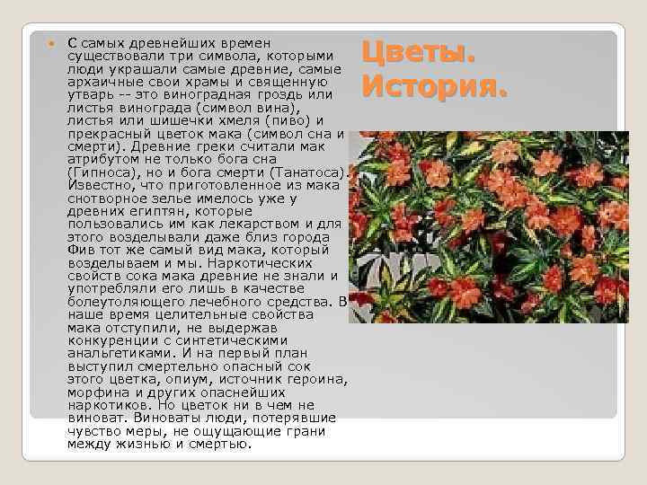  С самых древнейших времен существовали три символа, которыми люди украшали самые древние, самые