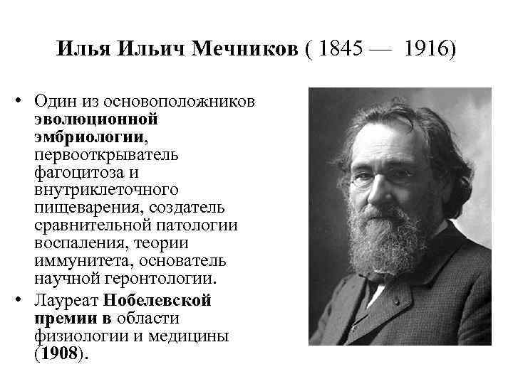 Илья Ильич Мечников ( 1845 — 1916) • Один из основоположников эволюционной эмбриологии, первооткрыватель