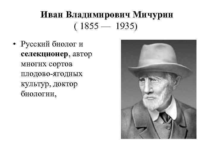 Иван Владимирович Мичурин ( 1855 — 1935) • Русский биолог и селекционер, автор многих