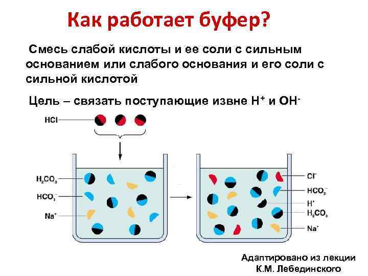 Как работает буфер? Смесь слабой кислоты и ее соли с сильным основанием или слабого