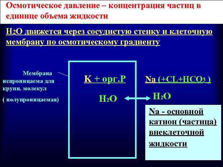 Осмотическое давление – концентрация частиц в единице объема жидкости H 2 O движется через