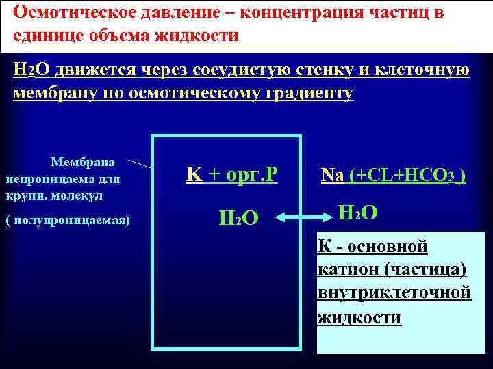 Осмотическое давление это простыми словами