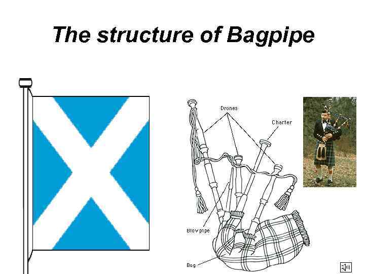 The structure of Bagpipe 