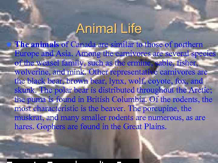 Animal Life l The animals of Canada are similar to those of northern Europe