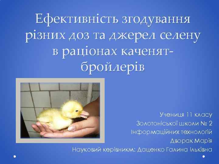 Ефективність згодування різних доз та джерел селену в раціонах каченятбройлерів Учениця 11 класу Золотоніської