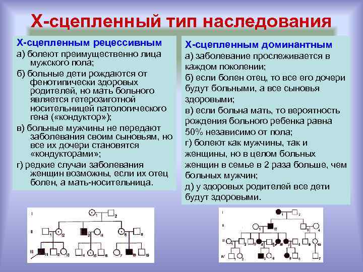 Х-сцепленный тип наследования Х-сцепленным рецессивным а) болеют преимущественно лица мужского пола; б) больные дети