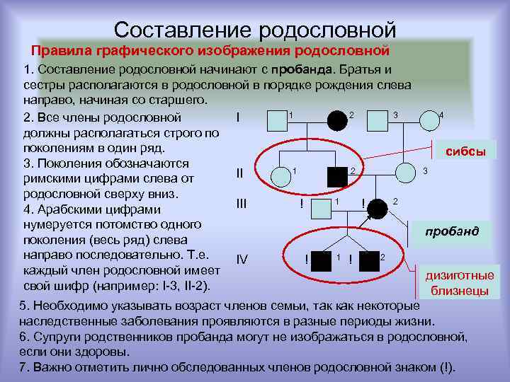 Составление родословной Правила графического изображения родословной 1. Составление родословной начинают с пробанда. Братья и