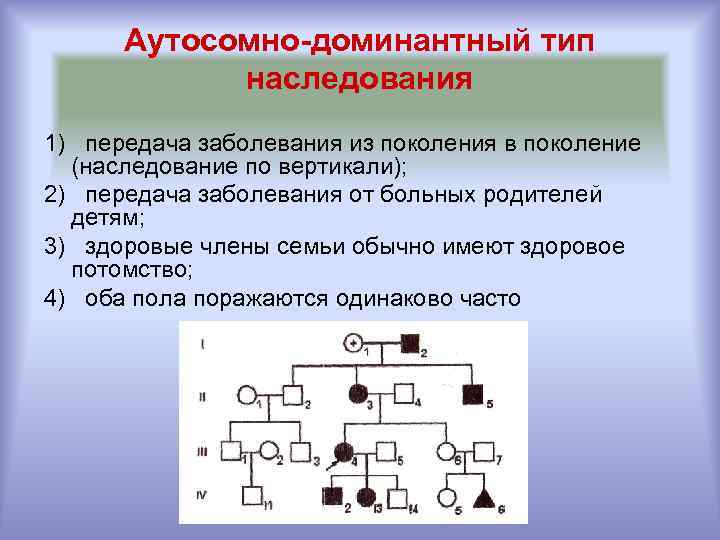 Аутосомно-доминантный тип наследования 1) передача заболевания из поколения в поколение (наследование по вертикали); 2)