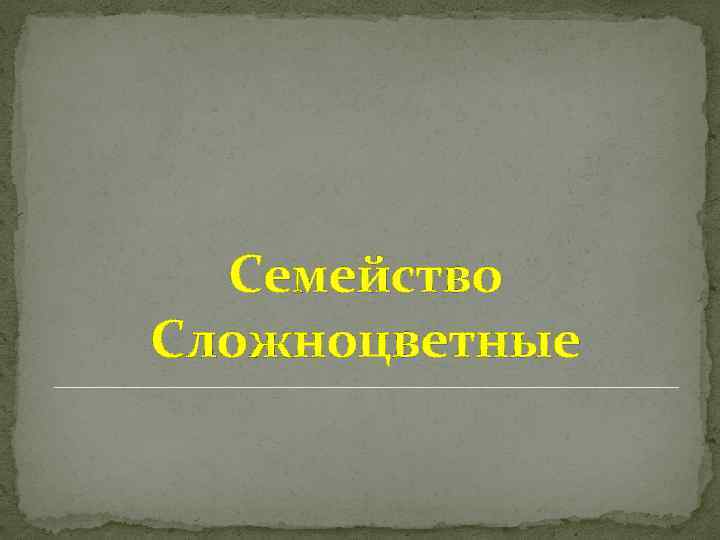 Семейство Сложноцветные 