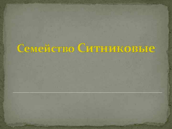 Семейство Ситниковые 