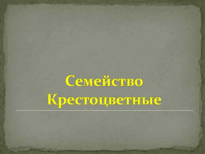 Семейство Крестоцветные 