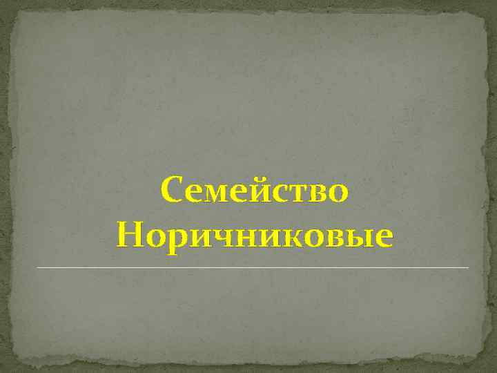 Семейство Норичниковые 