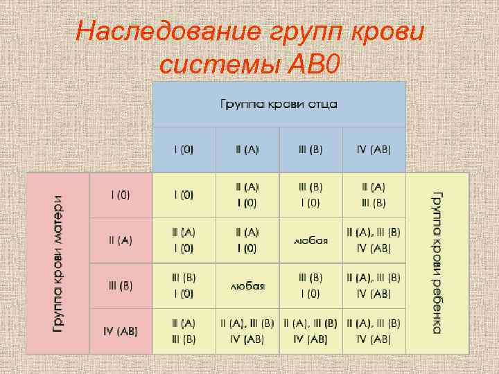 Наследование групп крови системы AB 0 